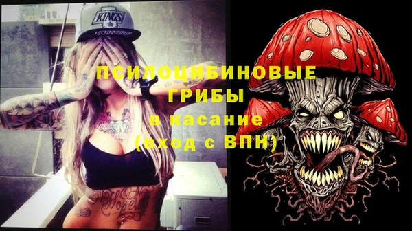 не бодяженный Алексин