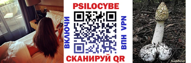 наркотики  Славск  Псилоцибиновые грибы мухоморы 
